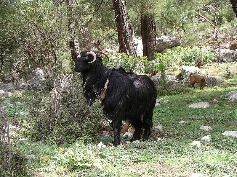turkije2005 178.jpg